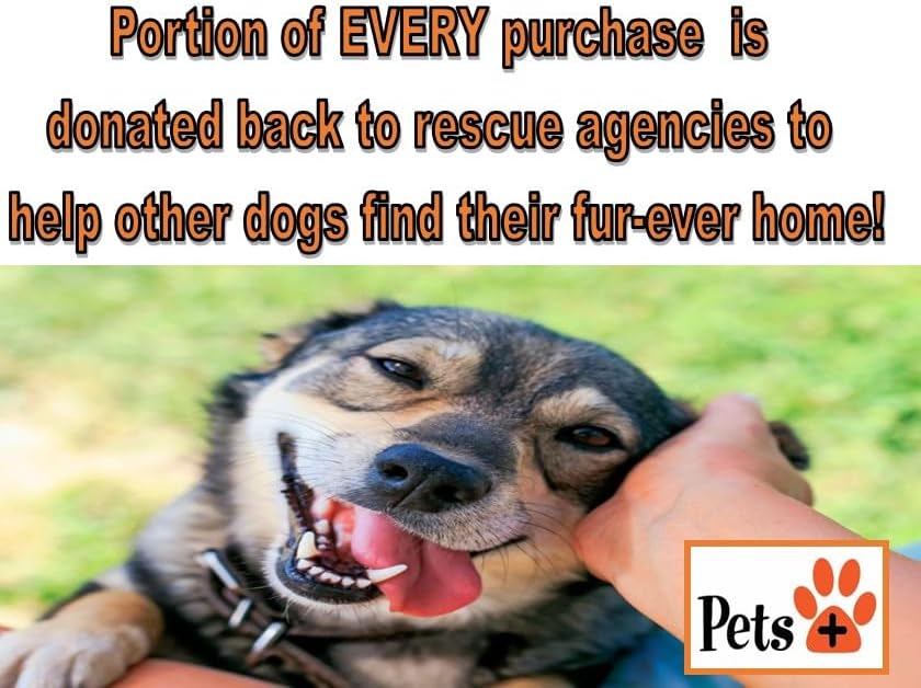 Pets Plus Premium Dog Treats – Pig Ears, 4 Pack | All-Natural, High-Protein Chews for Dogs, Long-Lasting Treats for Dental Health, Training & Boredom Relief