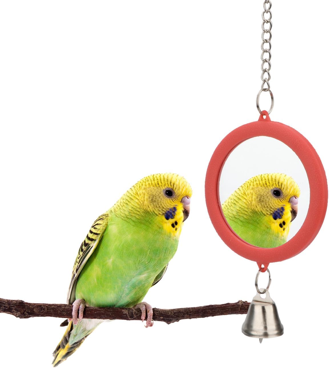 Hypeety Pet Bird Mirror with Bell Interactive Parrot Toy Bird Cage Mirror for Cockatiel Parakeets Canaries Budgie (RED)