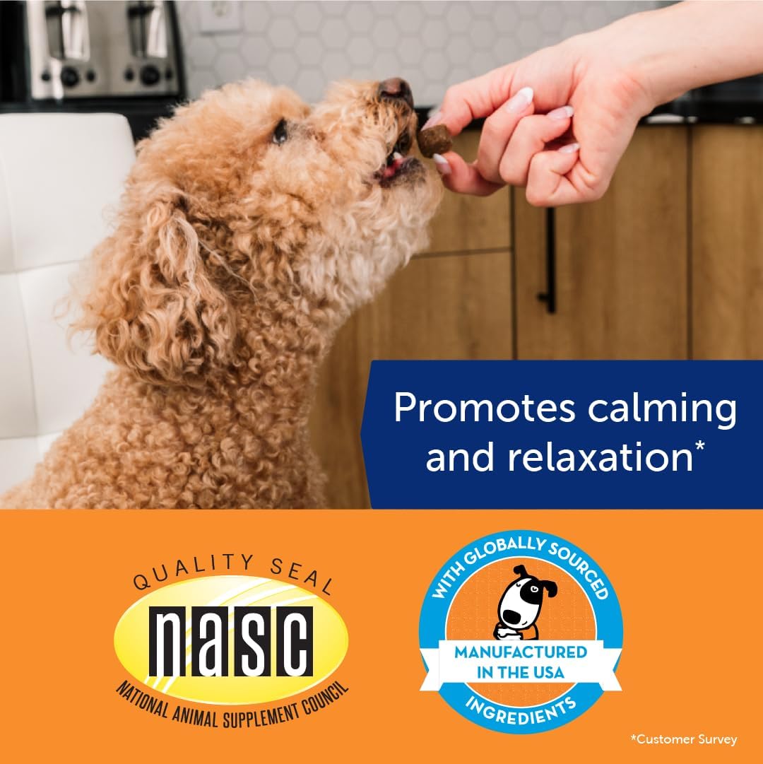 ThunderWunders Hemp Dog Calming Chews | Vet Recommended for Situational Anxiety | Fireworks, Thunderstorms, Travel & More | Made with Hemp Seed, Thiamine, L-Tryptophan, Melatonin & Ginger (60 Count)