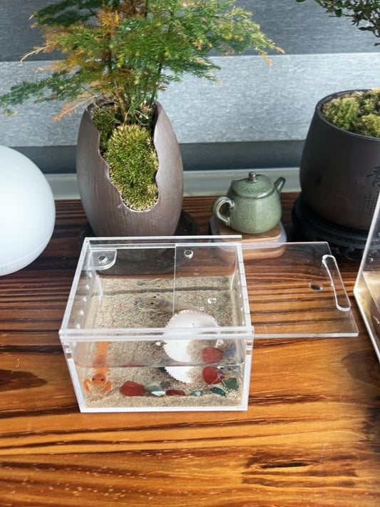 Insect breeding Box Reptile Feeding Box, Waterproof Enclosure Enclosure for arboreal Tarantula Scorpion Sling Lizards Snake Gecko Jumping Spider Snail Isopods (3.9 * 3.3 * 2.3inch)