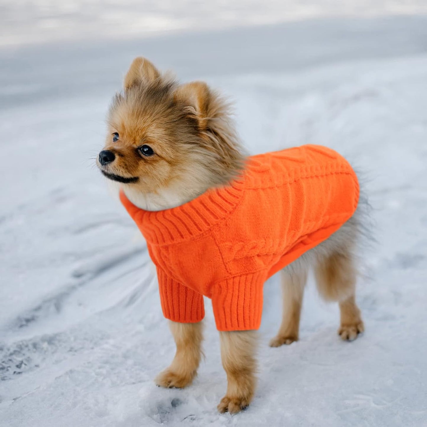 Queenmore Small Dog Pullover Sweater, Cold Weather Cable Knitwear, Classic Turtleneck Thick Warm Clothes for Chihuahua, Bulldog, Dachshund, Pug (Orange, X-Large)