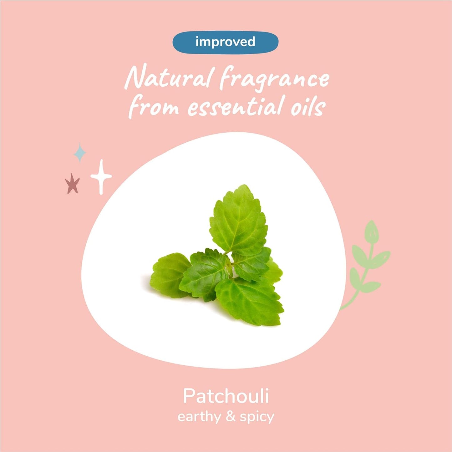 kin+kind Natural Cat & Dog Shampoo and Conditioner Set - Gentle Pet Supplies for Dogs and Cats - Shea Moisture Shampoo and Conditioner with Activated Charcoal & Moisturizing Shea Butter - Made in USA