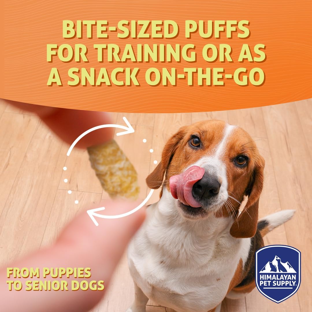 Barkeetos Dog Treats, Crunchy and Cheesy Pet Snacks Made with Real Himalayan Cheese and Bacon, Gluten Free, Grain Free, Lactose Free, Natural Dog Food for All Breeds and Sizes - 3 Pack