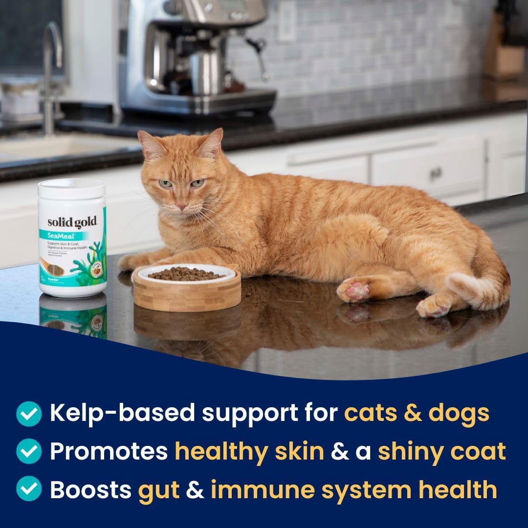 Solid Gold Cat & Dog Multivitamin Powder - Kelp Powder, Omega 3 & Vitamins for Dental, Digestive, Immune, Skin & Coat Health - Multi Vitamin for Dogs & Cats - Cat & Dog Food Additive Supplement - 1lb