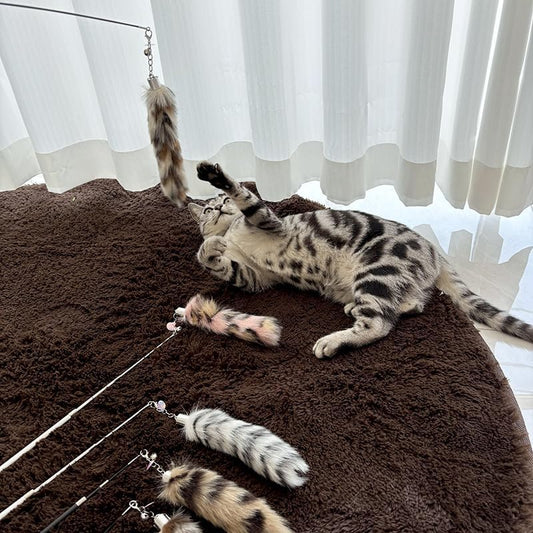 Interactive Cat Wand Toy with Cat Dancer, Retractable Feather Fox Tail Teaser for Indoor Cats, Enrichment Play Kittens to Senior Cats(Arctic White)