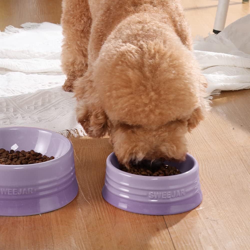 Sweejar Gradient Dog Bowl, Ceramic Dog Food Dish for Large Dogs and Large Cat, Porcelain Pet Bowl for Food and Water 32 oz (Gradient Purple)