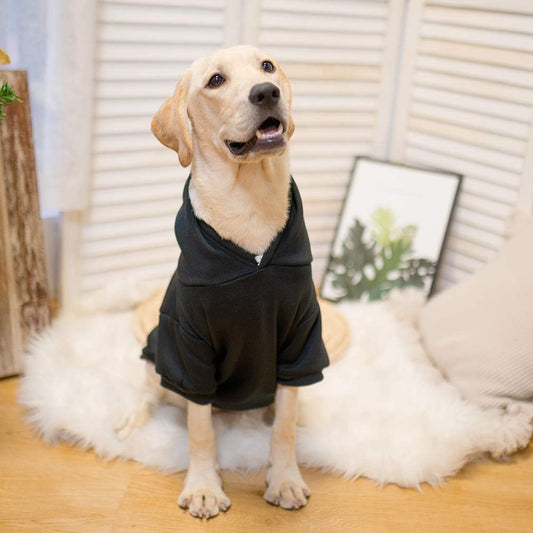 KOOLTAIL Basic Dog Hoodie - Soft and Warm Dog Hoodie Sweater with Leash Hole and Pocket, Dog Winter Coat, Cold Weather Clothes Sweatshirt for Small Medium Large Dogs Puppy Cat Boys Girls Black L