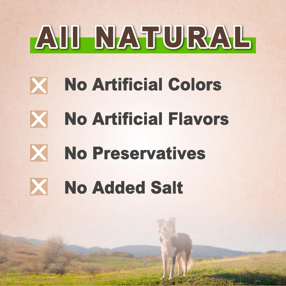 AFreschi Turkey Tendons for Dogs, USA-Sourced, Healthy Dog Treats, Rawhide-Free Puppy Chews, Long Lasting, All Natural, Hypoallergenic Dog Treats for Large Breeds, 1 Count Pack Ring (L)