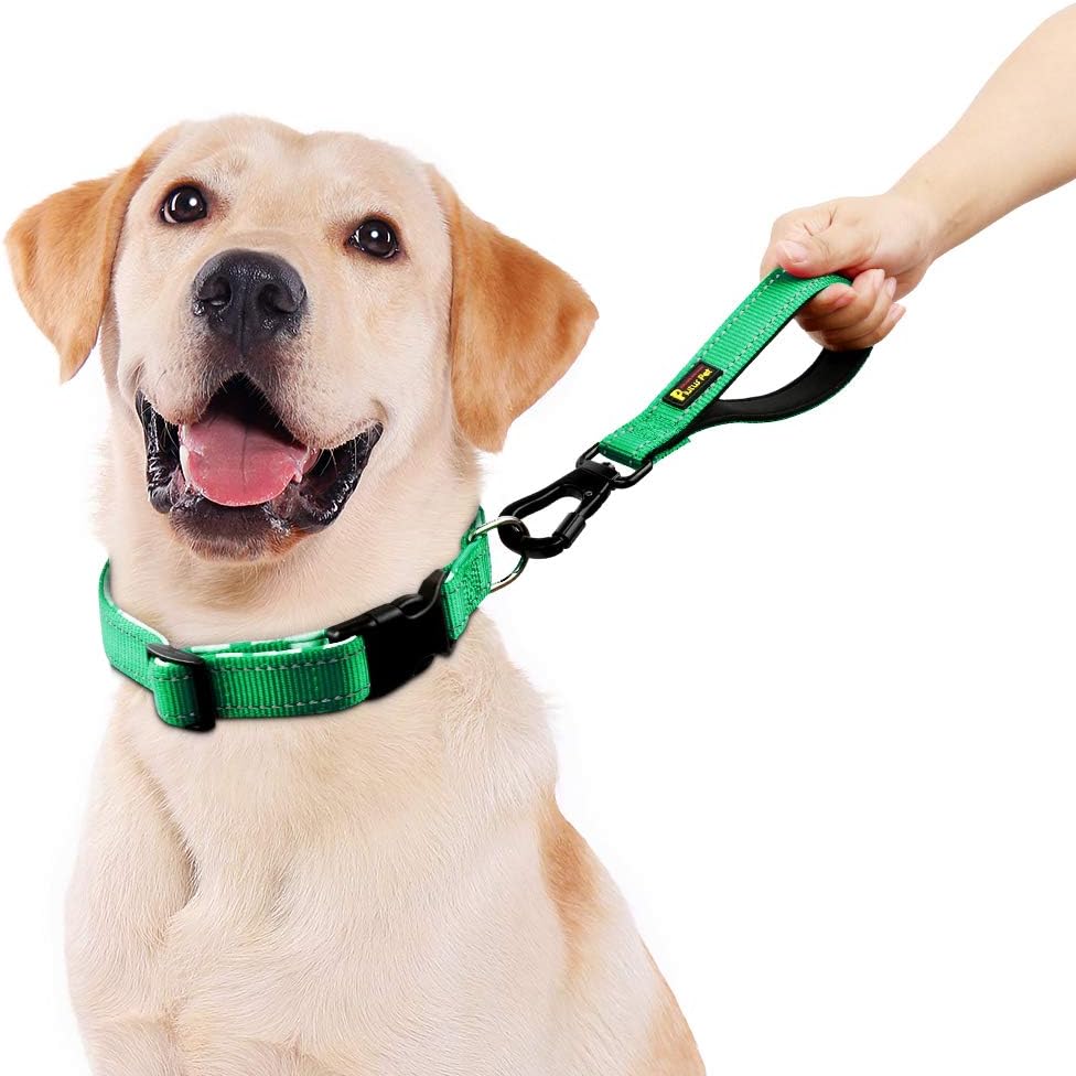PLUTUS PET 10” Short Dog Leash, Reflective Nylon Padded Handle, Strong Traffic Leash with Carabiner Clip, Perfect for Large or Medium Dogs（10”，Green