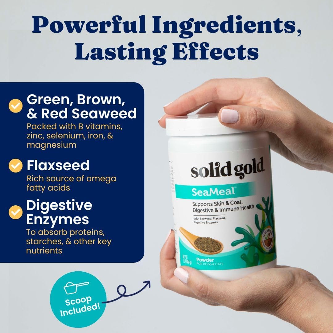 Solid Gold Cat & Dog Multivitamin Powder - Kelp Powder, Omega 3 & Vitamins for Dental, Digestive, Immune, Skin & Coat Health - Multi Vitamin for Dogs & Cats - Cat & Dog Food Additive Supplement - 1lb