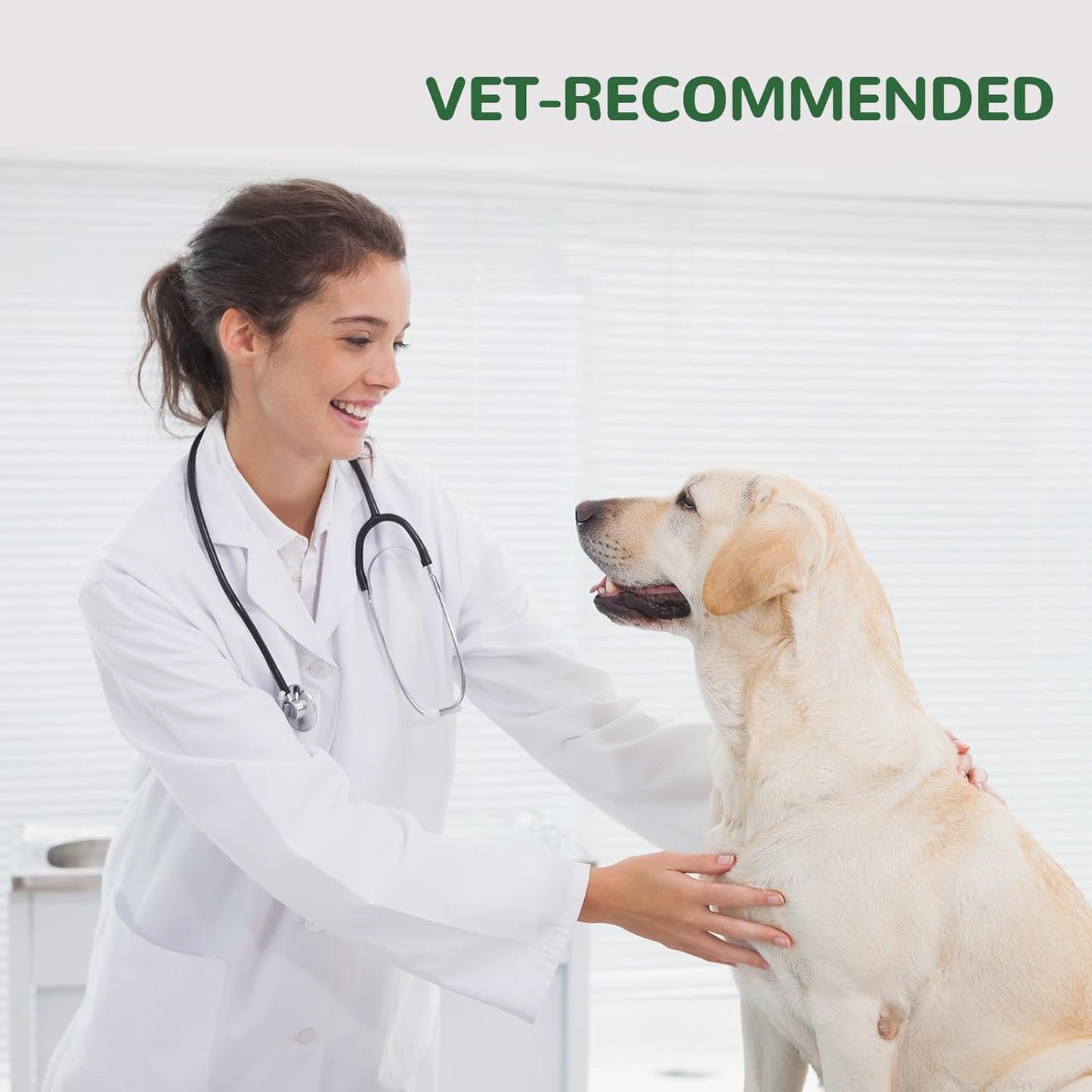 Dog Allergy Chews, Dog Itch Relief Chews for Paw Licking Itchy Skin Seasonal Allergies, Probiotics with Omega-3 Turmeric Astragalus for Large Dogs Coat Immune Supplement-90ct