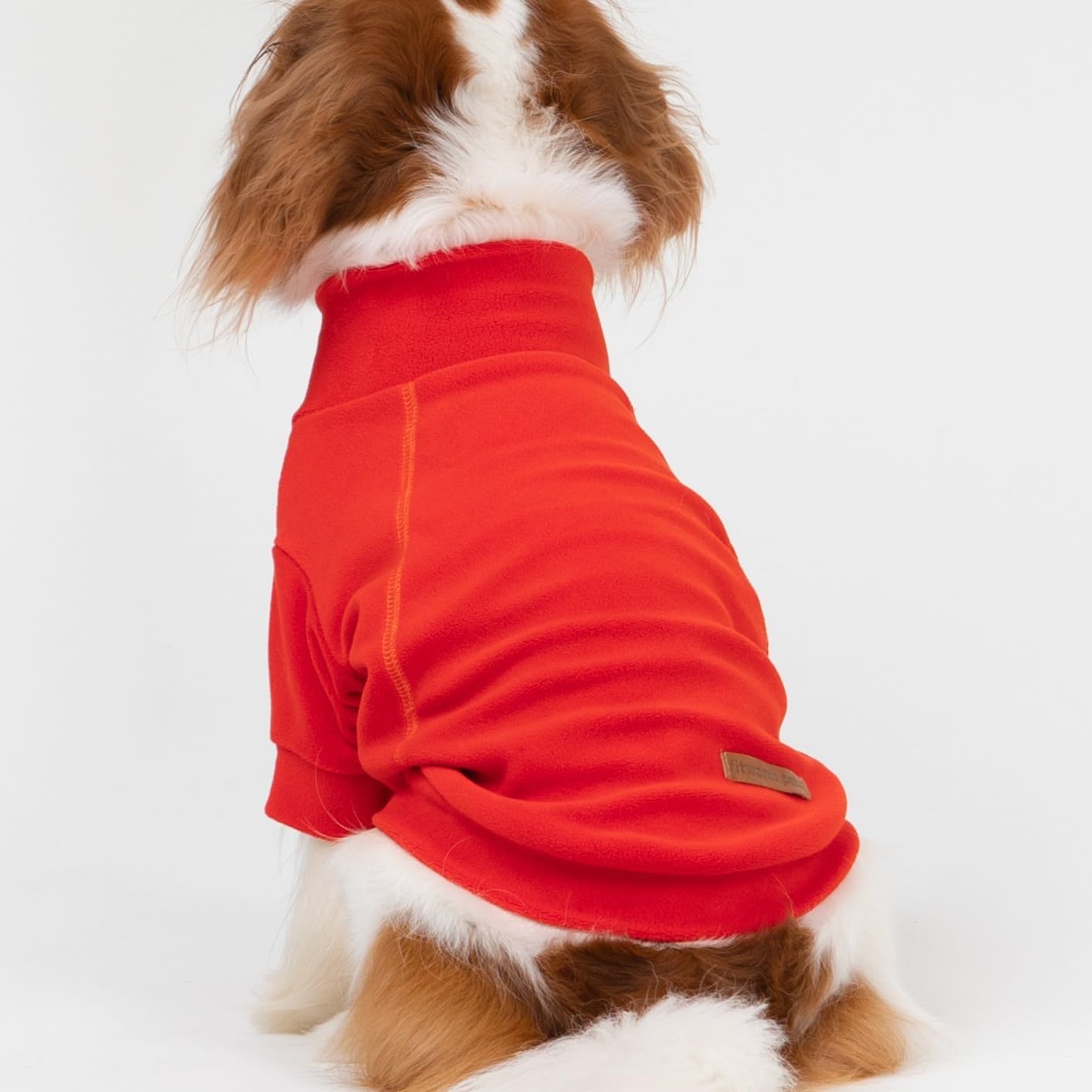 Fitwarm 3 Pack Classic Fleece Dog Sweater, Winter Clothes for Small Dogs Boy Girl, Turtleneck Dog Sweatshirt, Pet Apparel, Orange Red, Royal Blue, Neon Yellow, Medium