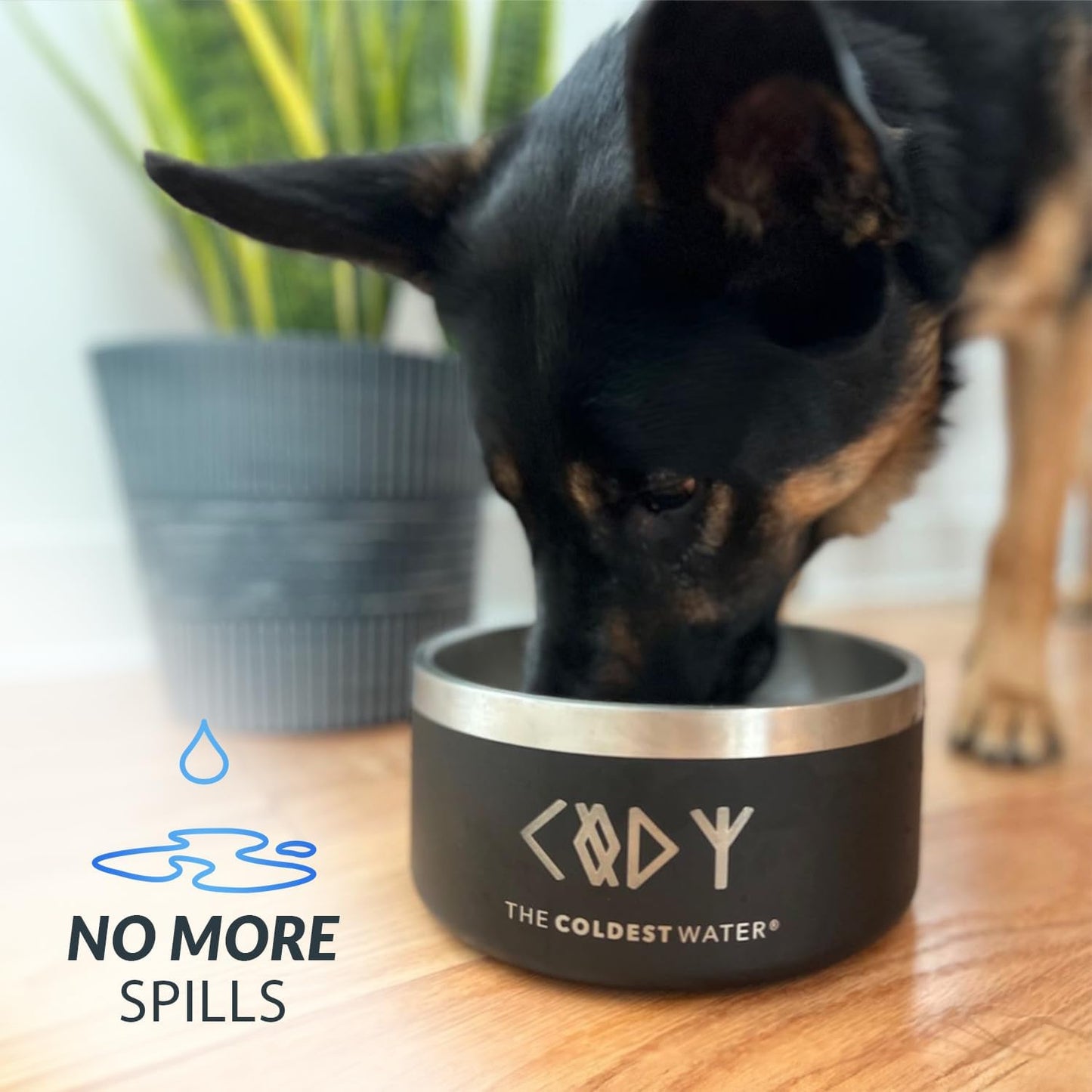 Coldest Dog Bowl - Anti Rust Metal, Non Slip, 3 Layers Insulated Stainless Steel Dog Bowls - Spill Proof & Heavy Duty - Water Bowl for Dogs, Cats & Pets, Dish Washer Safe (100 oz, Sahara Peach)