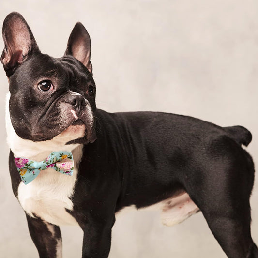 Dog Bow Ties, 10 PCS Flower Pattern Adjustable Bowties for Cats & Small Medium Large Dogs Collar Charms for Birthday Wedding Parties（Flower）