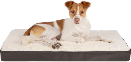 Best Pet Supplies Cute Dog Crate Mat Flat Bed with Waterproof Exterior, Thick Orthopedic Egg Foam Mattress, and Soft Sherpa Fleece Cover for Small, Medium, and Large Breeds - Brown, 24X16X3