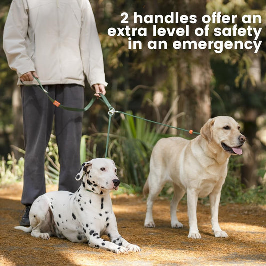 Howgo Double Slip Leash Slip Lead with Two Handles| Dual Dog Slip Lead for 2 Dogs,360° Swivel No Tangle | Dog Training Collar | Double Clip Leash Coupler and Splitter (MintGreen, 6FT)