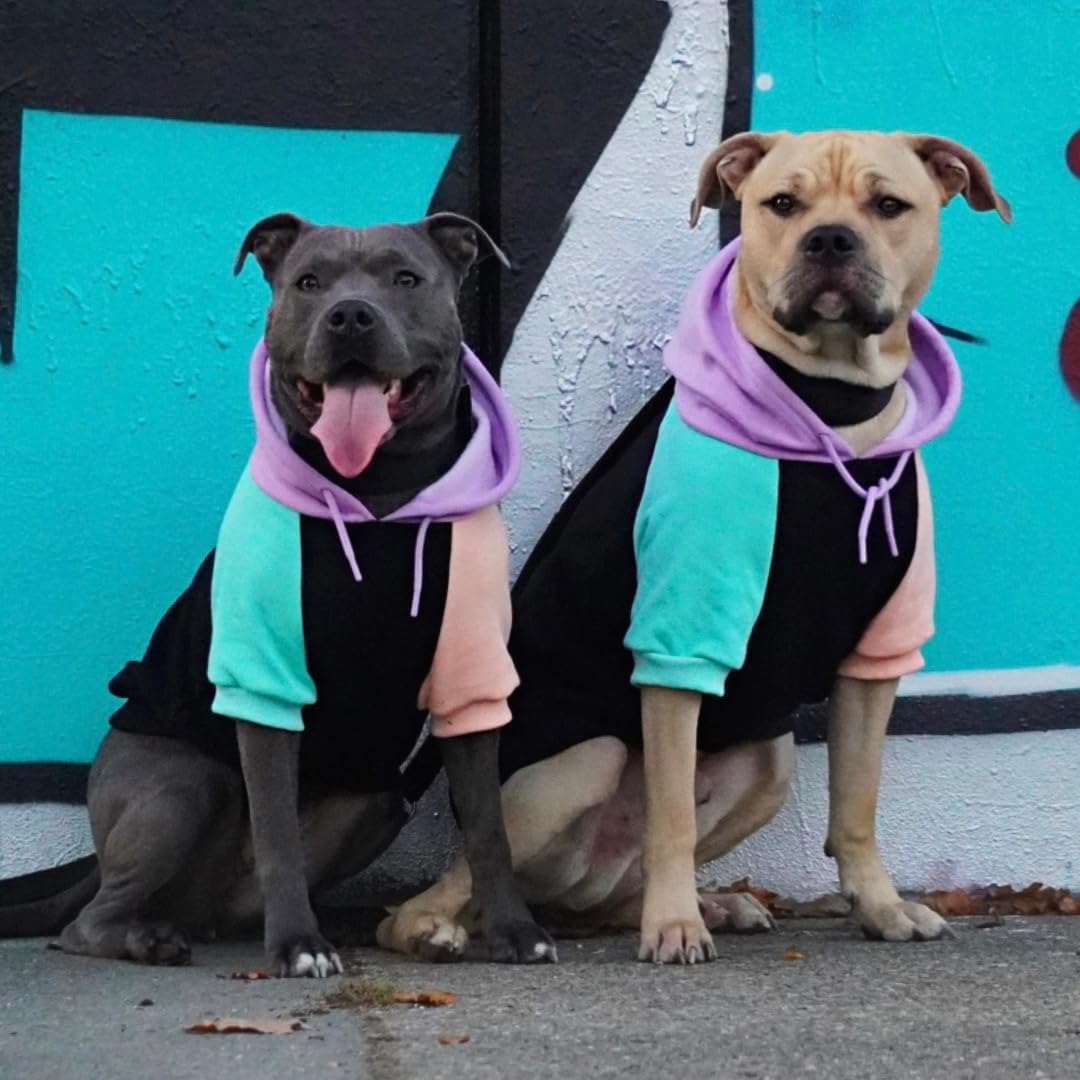 Spark Paws Dog Hoodie – Premium Dog Sweater for Small, Medium, and Large Dogs | Warm Outfits for French Bulldogs, Pitbull, Puppy, Winter Jacket Alternative - Cyber Punk - 3XL