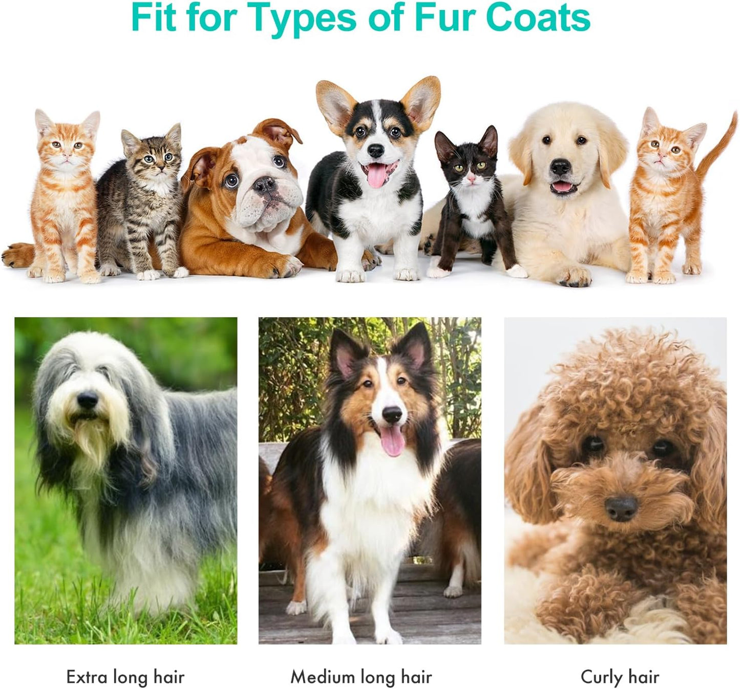 Neakasa P1 Pro Pet Grooming Kit & Vacuum Suction 99% Pet Hair, Professional Clippers with 5 Proven Grooming Tools for Dog and Cat