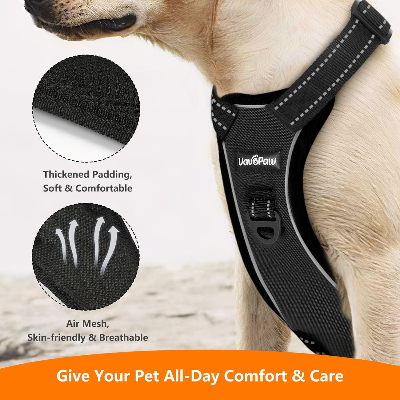 Dog Seat Belt Harness for Car, Dog Car Harness Adjustable Mesh Breathable & Dogs Seatbelt Safety Tether with Elastic Bungee for Small Medium Large Pets(Carbon Black, M)