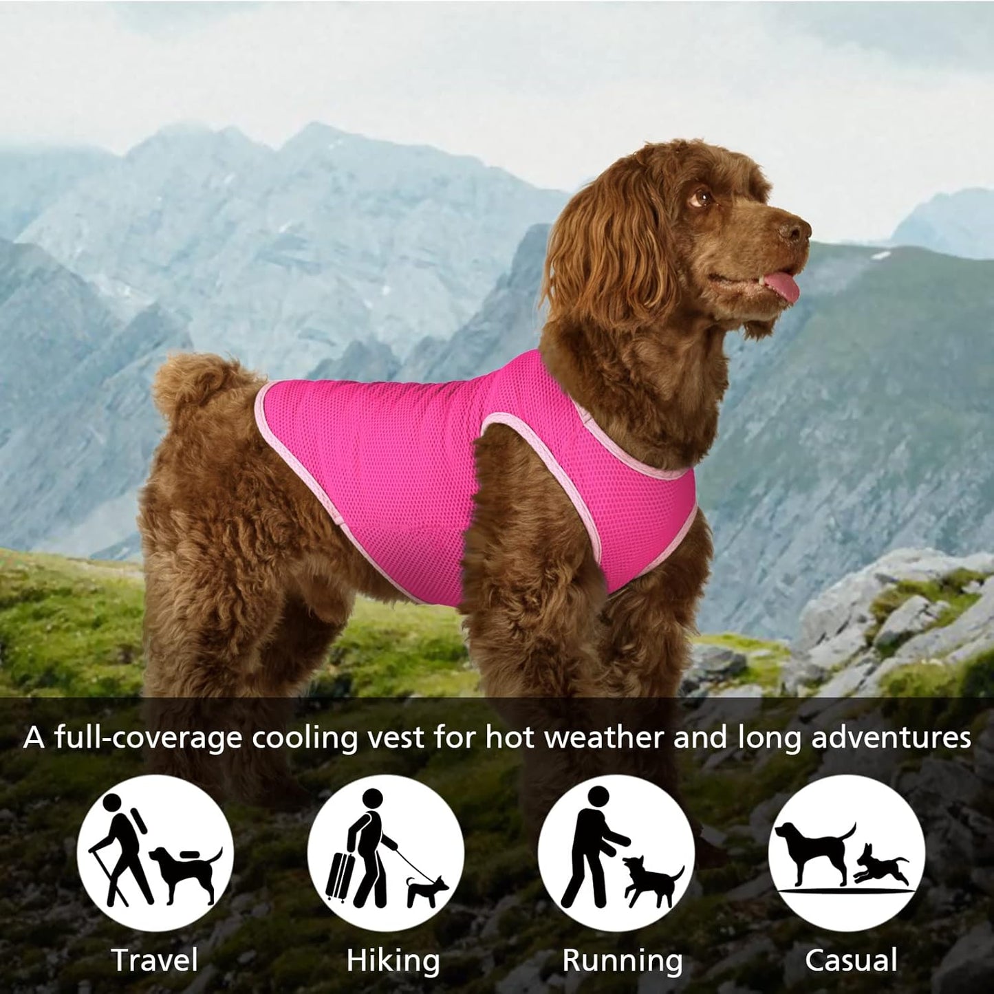 2 Pack Cooling Shirts for Dogs, Breathable Lightweight Dog Shirts for Medium Dogs Girl, Sleeveless Sun Protection Shirts for Dog&Cat Puppy Vest Pet Apparel