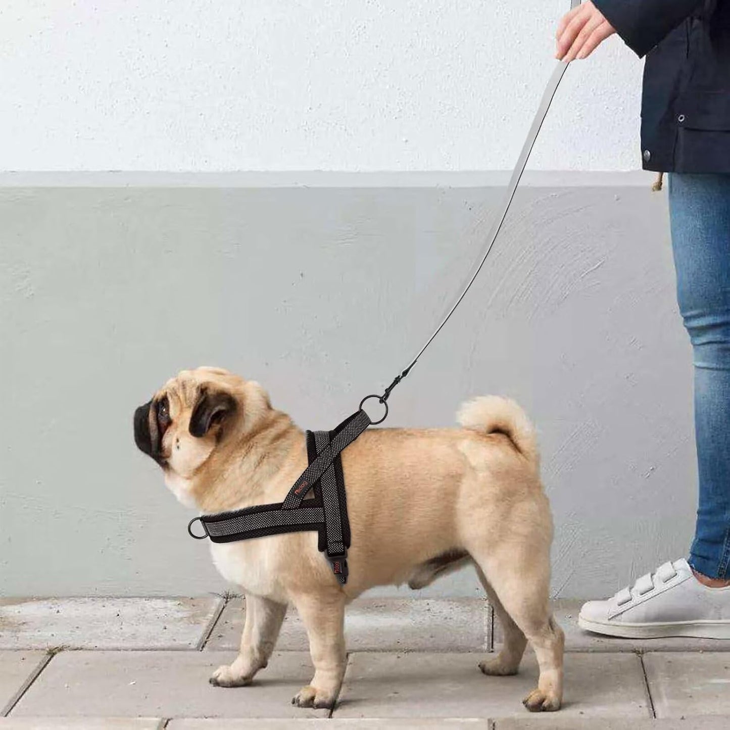 Didog No Pull Dog Harness with Breathable Mesh Padded, Full Reflective & Quick Fit Adjustable Vest Harness, Easy for Training Walking for Small & Medium and Large Dogs (Black, L:Chest 26-32")