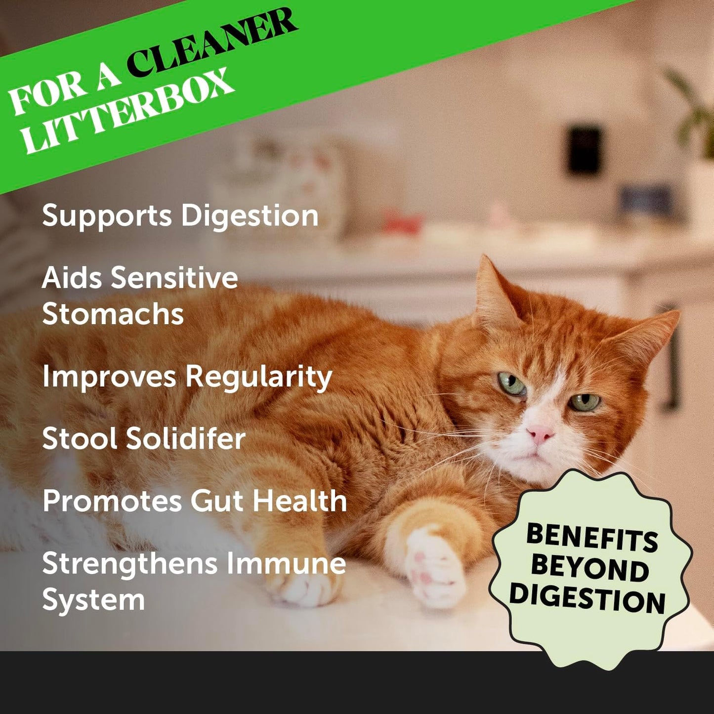 Digestive Probiotic Powder Supplement for Cats - Digestive Support + Gut Health, Probiotic for Cats, Cat Constipation Relief, Bowel Support, Immunity & Overall Health - 120 Scoops