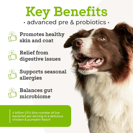 Dr. Joseph's VetPro Complete Advanced Powdered Pre & Probiotics for Dogs, 90 Scoops, Supports Gut Health, Diarrhea, Digestive Health & Seasonal Allergies, Chicken/Pumpkin Flavor, Add to Food