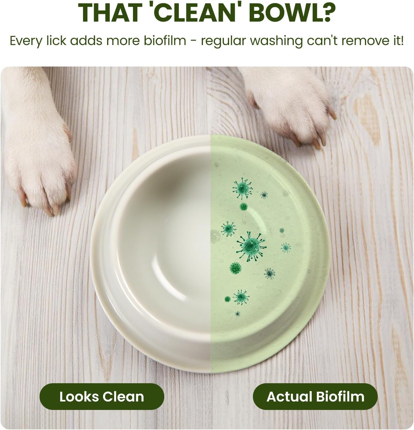 Pet Bowl Cleaner Mousse - Vet Enzyme Formula for Bird Baths & Feeders | Lick-Safe, No Residue | Works on Cat Dishes, Fountains, Toys & Birdhouses (350ml/12oz)