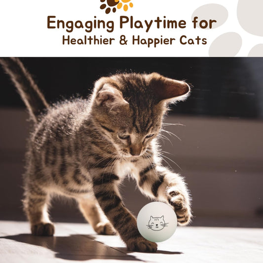 Ping Pong Balls for Cats, 6 Pack, Enrichment Toys, Cat Lovers Gift Ideas, Ball Pits, Bouncy