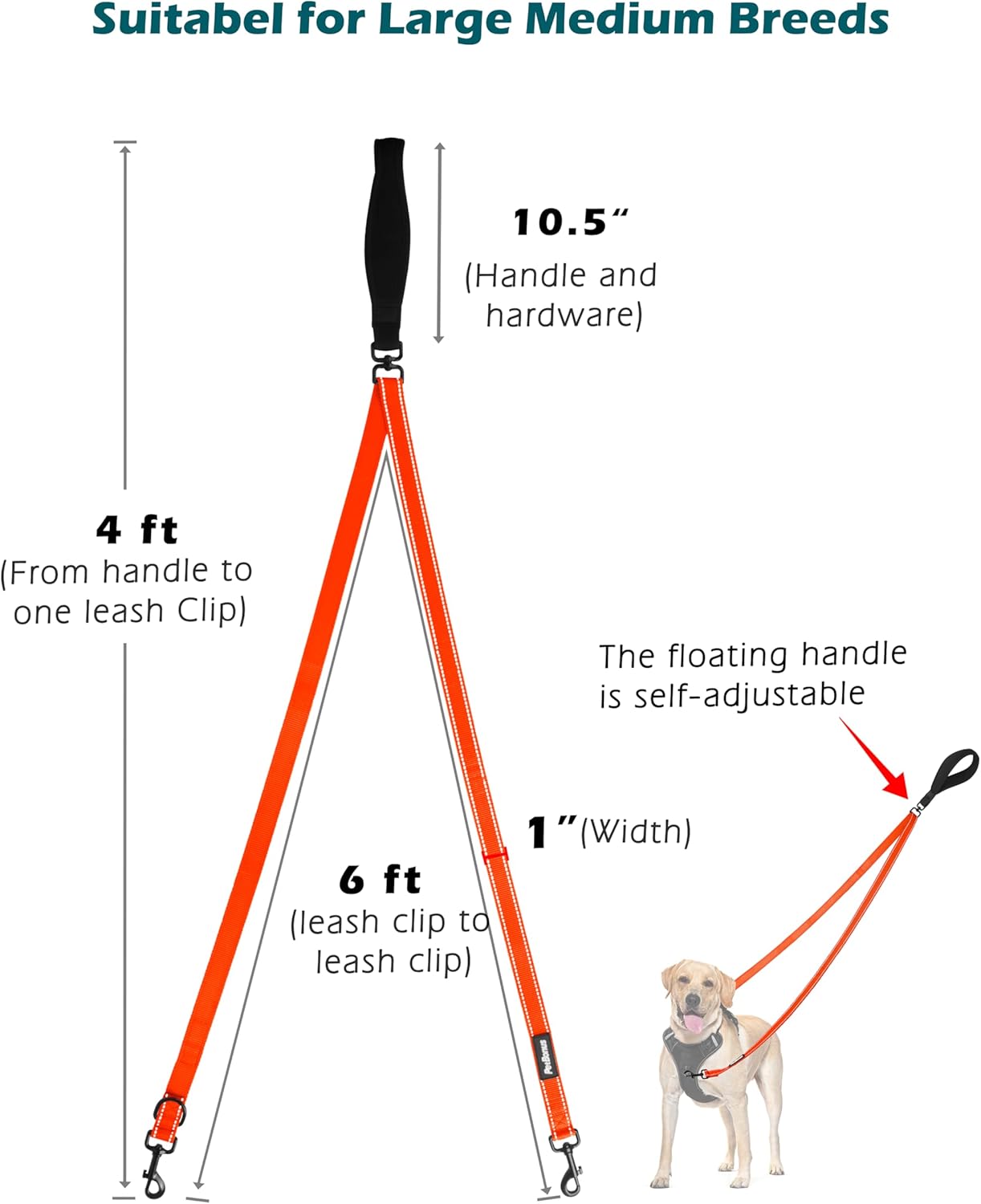 PetBonus Two Point Control Dog Leash, Works with No Pull Harnesses, No Tangle Training Leashes, Soft Padded and Reflective Walking Lead, Converts to Single Lead for Medium Large Dogs (Orange)