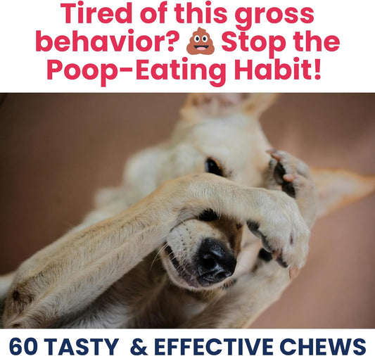 Under the Weather Pet No Poo Chews for Dogs | Vet Formulated Poop Eating Deterrent for Dogs | Canine Daily Chews to Help Stop Eating Poop | Coprophagia Support Supplement for Pups | 60 Count