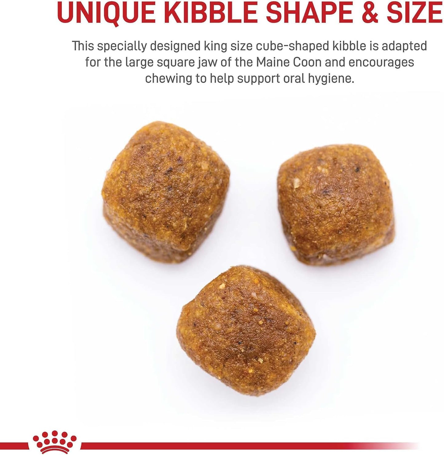 Royal Canin Maine Coon Breed Adult Dry Cat Food, 6 lb bag