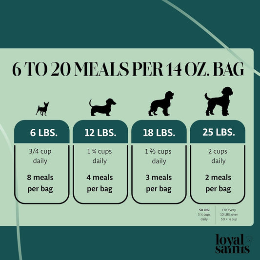 Freeze Dried Raw Dog Food - Premium Beef Flavor with High Protein and Grain Free Dog Food for Small or Large Breeds and Picky Eaters - Versatile as Meal Topper, Snack, and Treats, 14 Oz