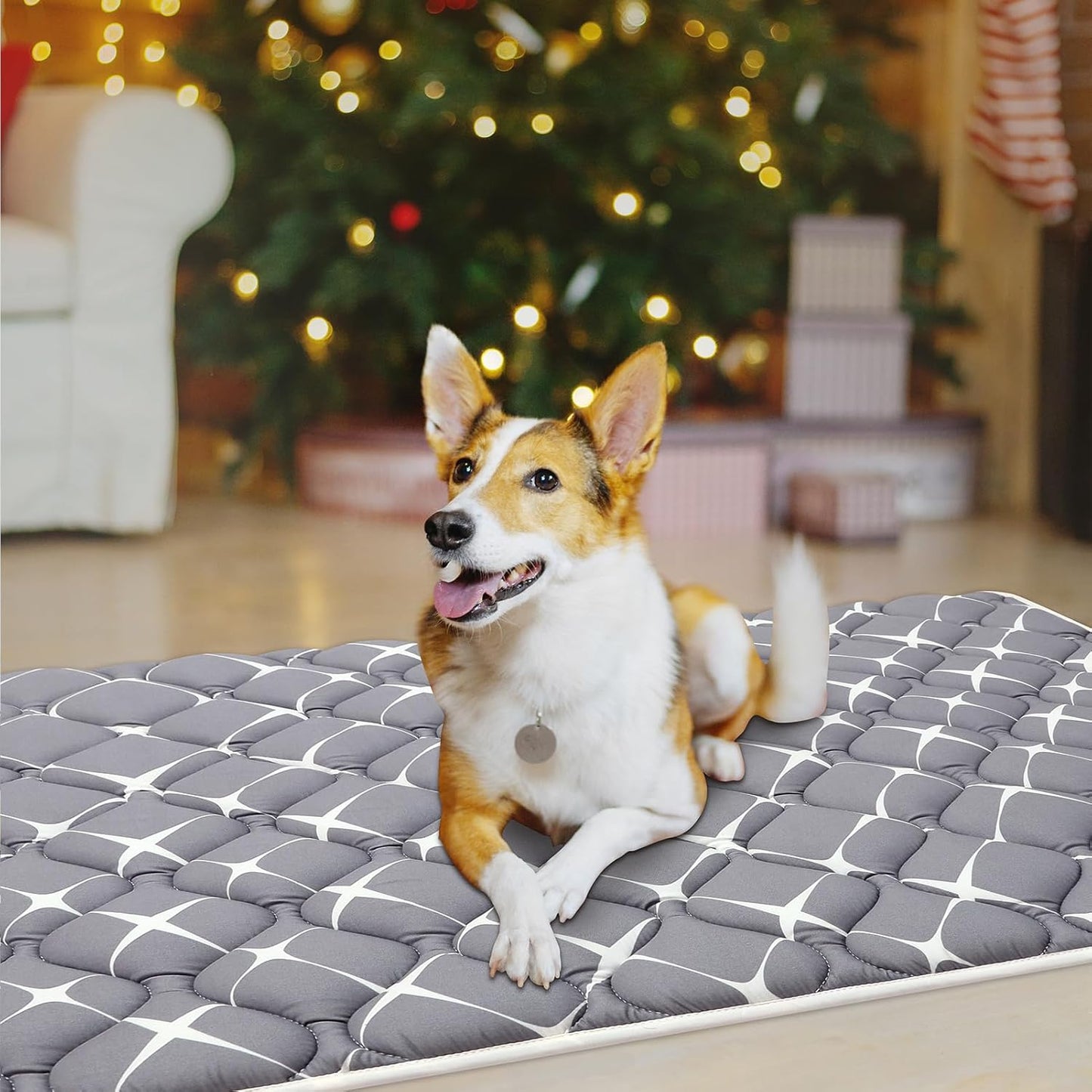 Bubble bear Dog Crate Mat - Ultra Soft, Washable & Anti-Slip Kennel Pad for Small/Medium/Large Dogs, Dark-Hued to Hide Stains (48"x30")