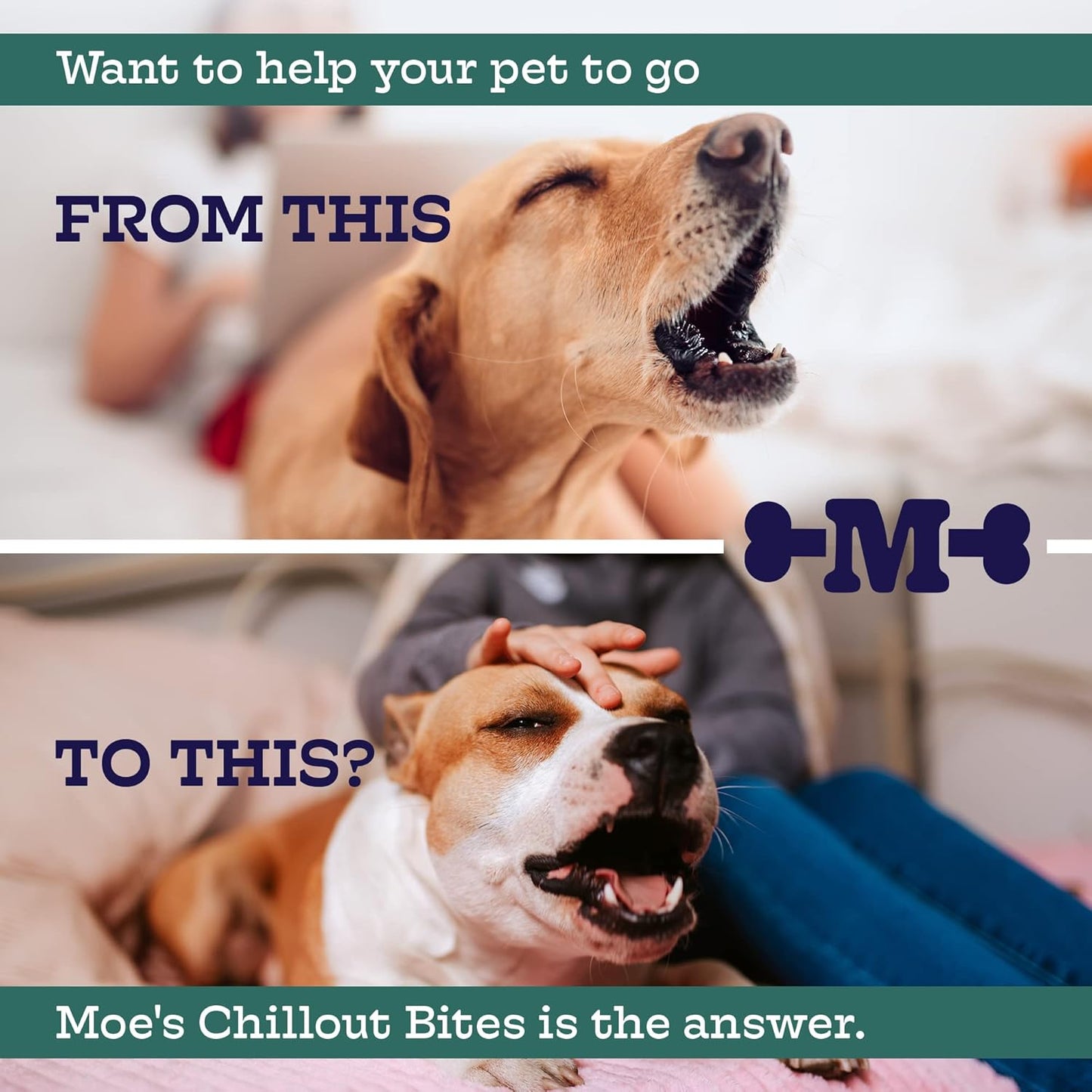 Moe’s Calming Chews for Dogs 90ct – Natural Anxiety Relief with Hemp, Chamomile, and Tryptophan – Calming Dog Treats for Separation, Fireworks, Travel and Storms (Peanut Butter)