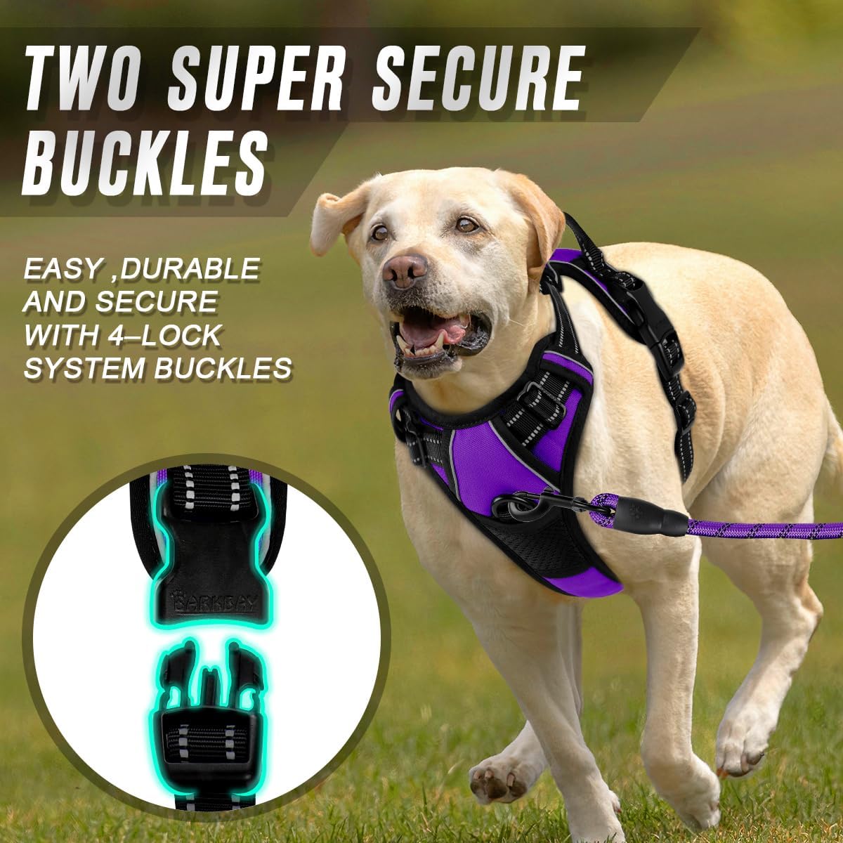 BARKBAY No Pull Dog Harness Front Clip Heavy Duty Reflective Easy Control Handle for Large Dog Walking(Purple,M)