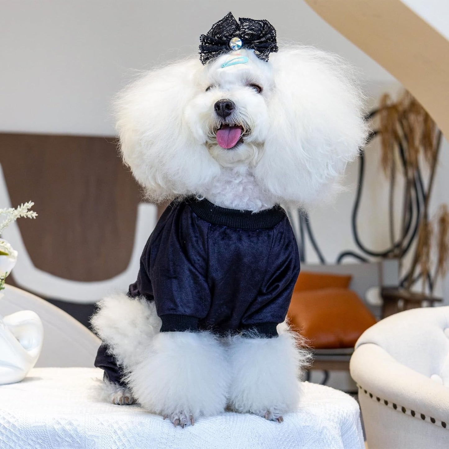 CuteBone Dog Halloween Pajamas Puppy Onesies Small Dogs Soft Pjs Coat Cat Apparel Comfy Pet Christmas Clothes Outfit Doggie Bodysuit P296L