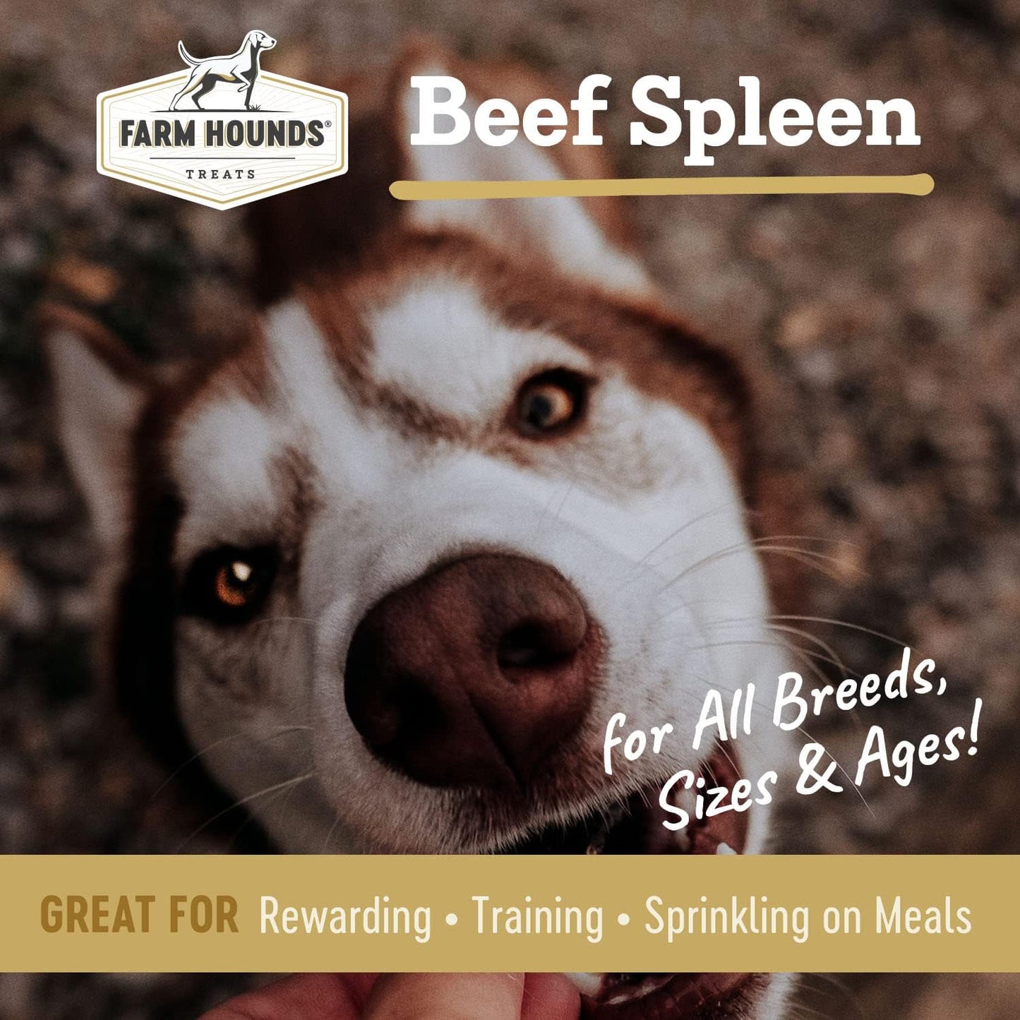 Farm Hounds - Beef Spleen - Premium Natural Beef Spleen Jerky For Dogs - Made From 100% Humanely Raised Cattle - Organ Treat - Great For Training & Treats - No Added Fillers - Made in USA -4oz -2 Pack