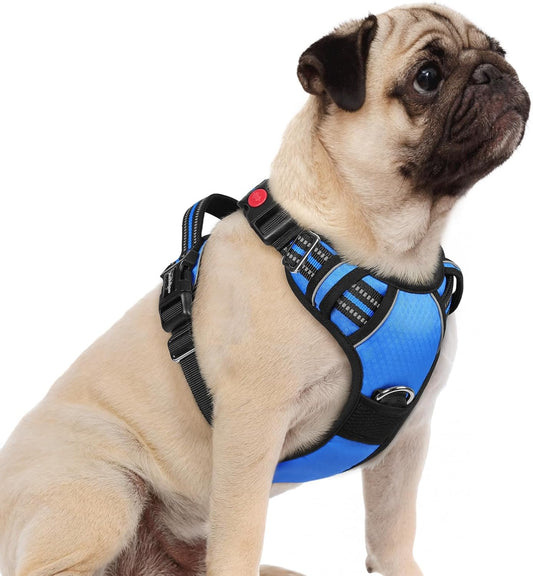 rabbitgoo Dog Harness Small Sized, No Pull Dog Vest with 3 Buckles, Adjustable Soft Padded Pet Harness with Easy Control Handle and Reflective Strips, Blue, S