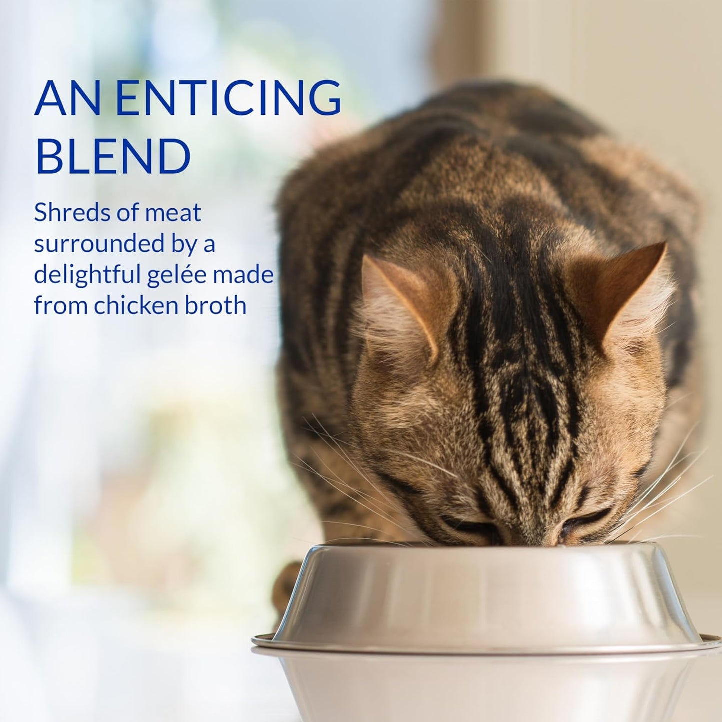 INABA Churu Stew for Cats, Side Dish Pouch with Vitamin E, 1.4 Ounces per Pouch, 12 Pouches, Chicken & Tuna Recipe