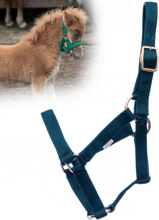 Jeffers Equine Mini Horse Halter – 3/4" Nylon Adjustable Halter for Miniature Horses, Ponies, Under 200 lbs – Heavy Duty Hardware, Secure Fit for Training, Turnout, Grooming, Travel – Dark Green