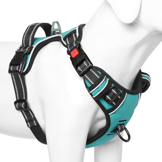 Timos Dog Harness, No-Pull Pet Harness with 2 Leash Clips, Adjustable Soft Padded Dog Vest, Reflective Outdoor Pet Oxford Vest with Easy Control Handle Turquoise