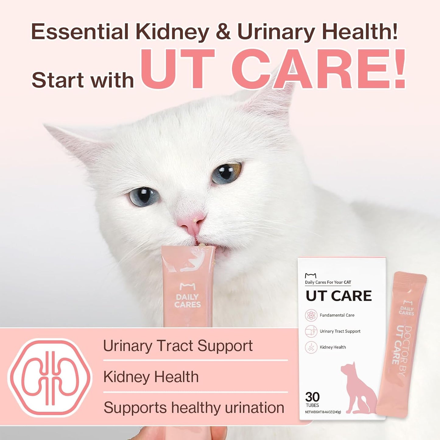 Dr.by UT Care Cat UTI Kidney Support Urinary Supplement Cranberry Treatment for Cats Renal Health with Pacran, Quercetin, Taurine lickable Formula Individually Packaged (1 Pack)