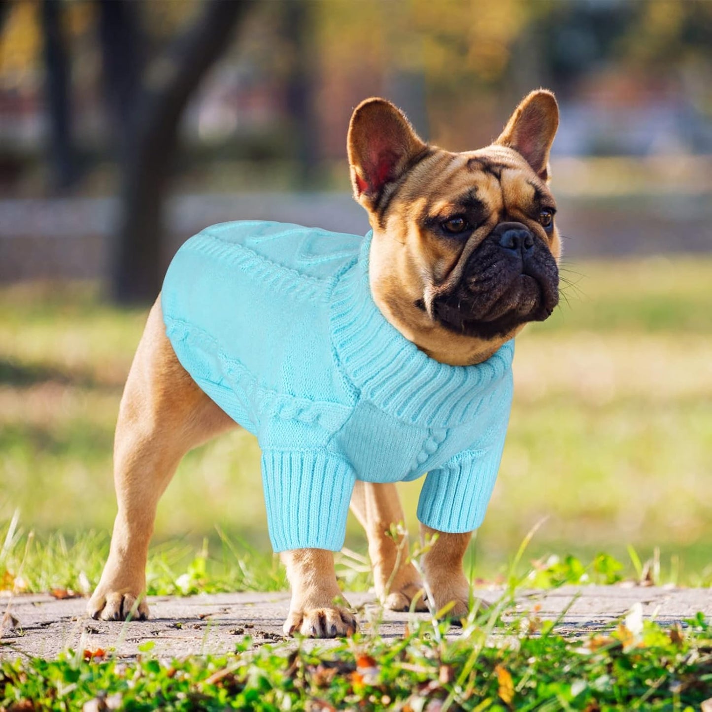 Queenmore Small Dog Pullover Sweater, Cold Weather Cable Knitwear, Classic Turtleneck Thick Warm Clothes for Chihuahua, Bulldog, Dachshund, Pug (Sky Blue, Medium)