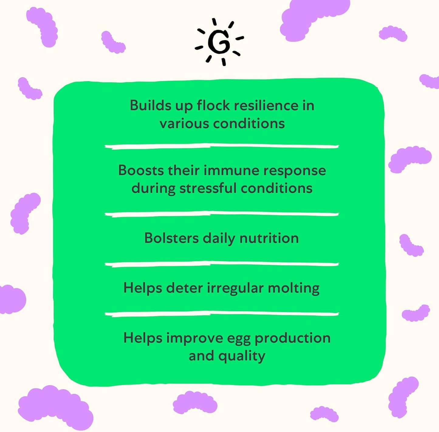 Grubbly Farms Vitamins + Electrolytes Water Supplement for Chickens (30 Day)