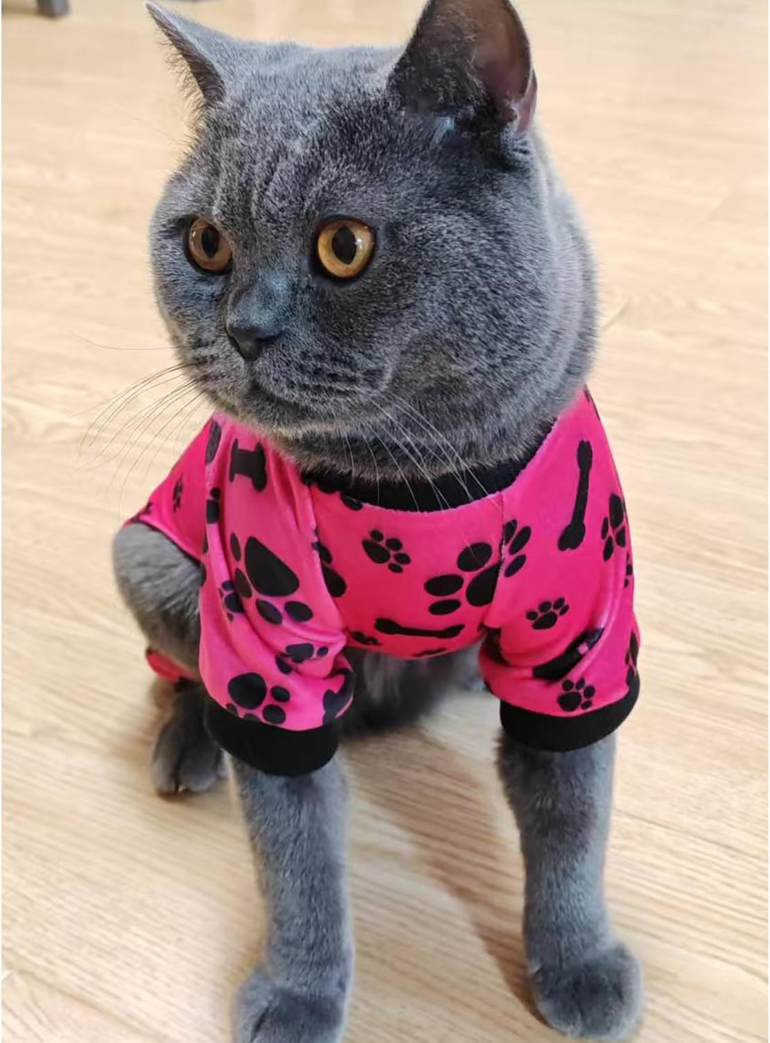 PET SHOW 4 Pack Small Dog Pajamas Paw Bone Patterns Cute Clothes for Medium Dogs Soft Fleece Stretchy PJs 4 Legged Jumpsuit Puppy Cats Onesies Outfits with Sleeve Dachshund Doggies Girl Boy (Small)