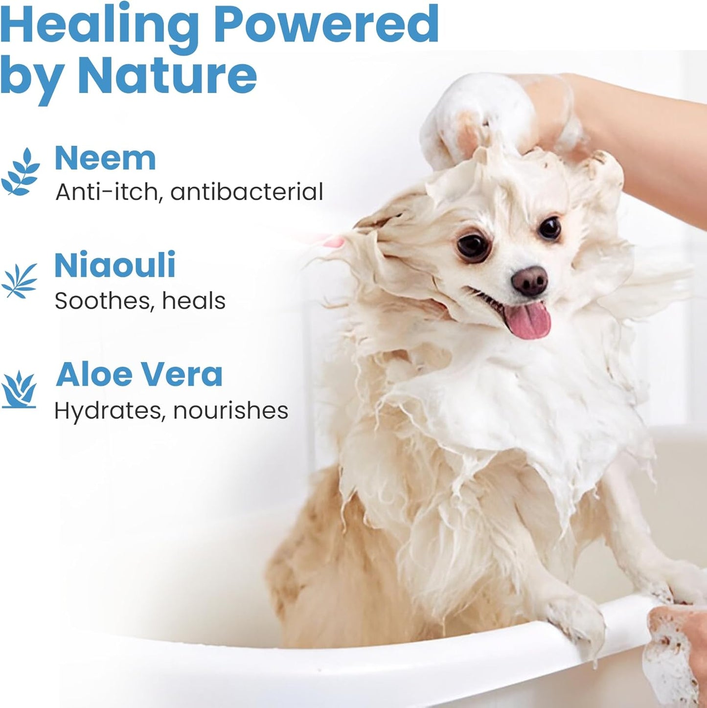 Medicated Organic Dog Shampoo Bar for Hot Spots, Dry Coat, and Allergies, All Natural Dog Shampoo with Neem, Aloe, and ACV, Eco-Friendly, Vet Recommended, 1 Bar for Sensitive Skin Relief