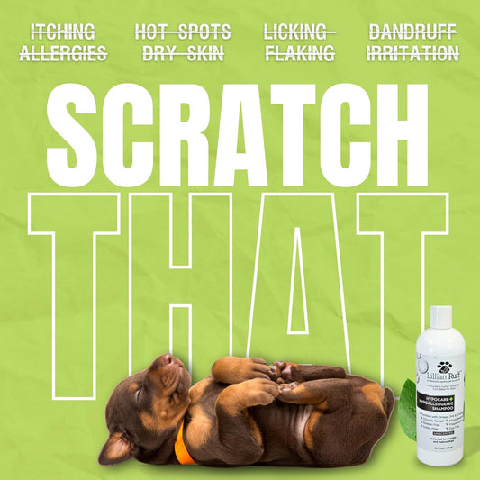 Lillian Ruff Calming Oatmeal Pet Shampoo for Dry Skin & Itch Relief with Aloe & Hydrating Essential Oils - Replenish Moisture & Deodorize - Tearless Dog Shampoo for Normal/Sensitive Skin (Hypocare+)