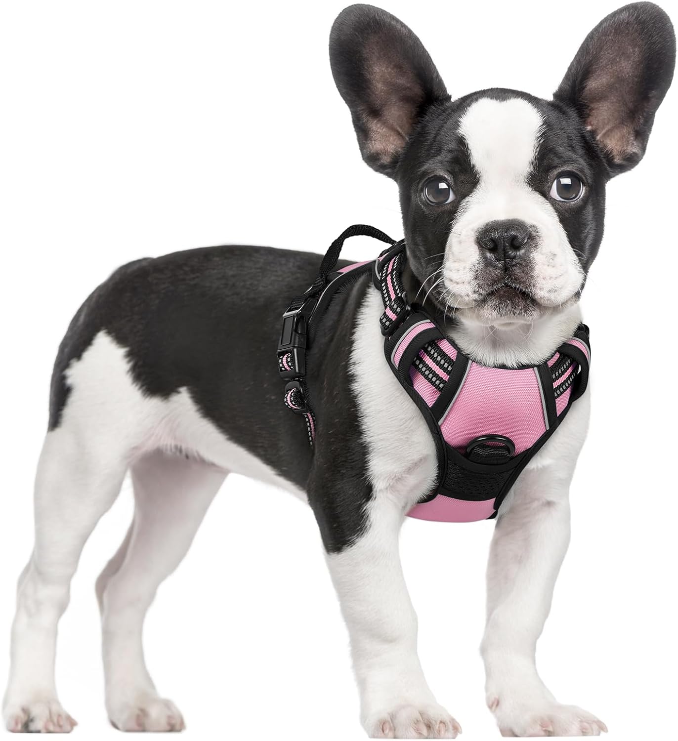 rabbitgoo Dog Harness No Pull with 2 Leash Clips, Adjustable Soft Padded, Reflective Oxford No Choke Pet Vest with Easy Control Handle for Small Dogs, Pink, S