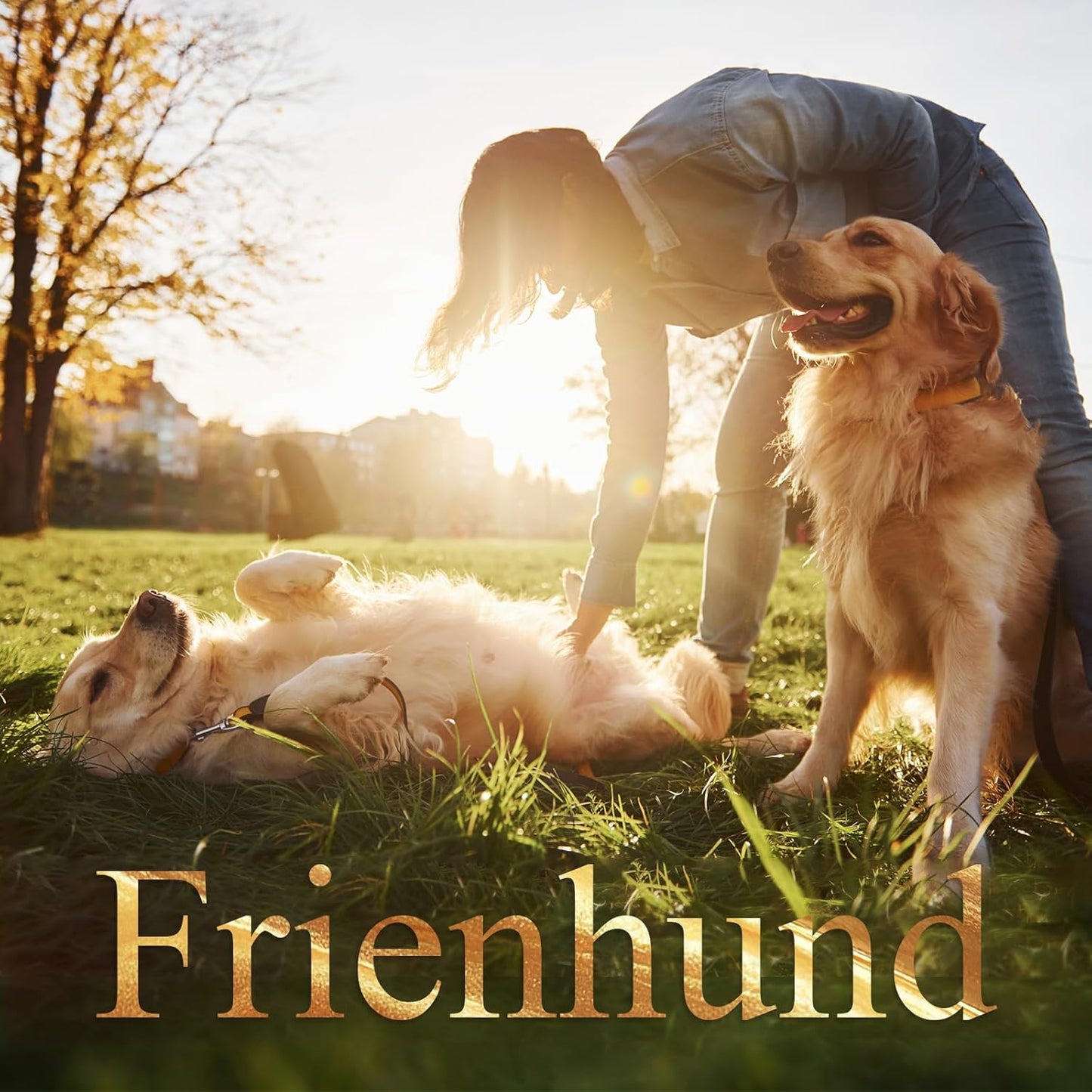 9-Pack Indestructible Dog Toys for Aggressive Chewers, Durable Chew Toys for Large Dogs, Dog Toy for Aggressive Chewer Large Breed, A Super Set for Happiness for All Dogs